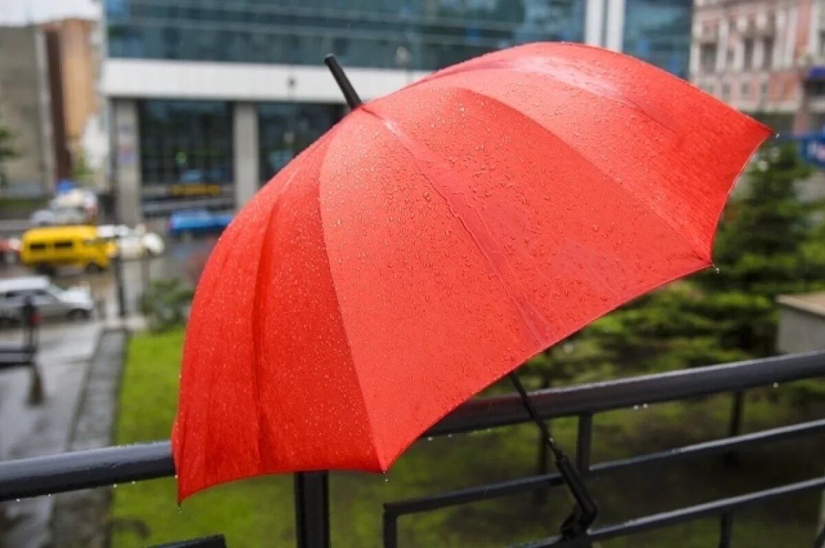    В Калининградской области потеплеет и прекратятся дожди