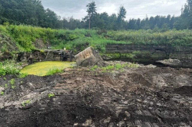    Фото: Пресс-служба ГУ МВД России по Петербургу и Ленобласти