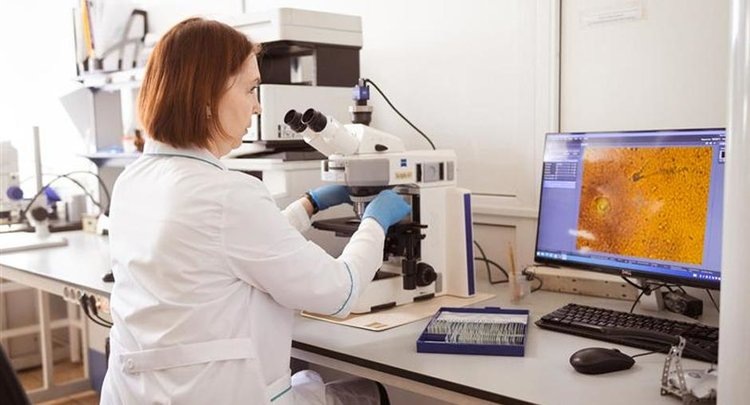    Фото: ФГБУ ЦОК АПК