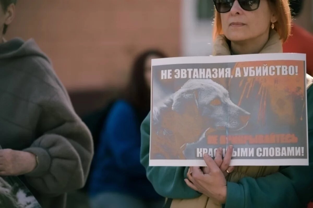    Фото носит иллюстративный характер.