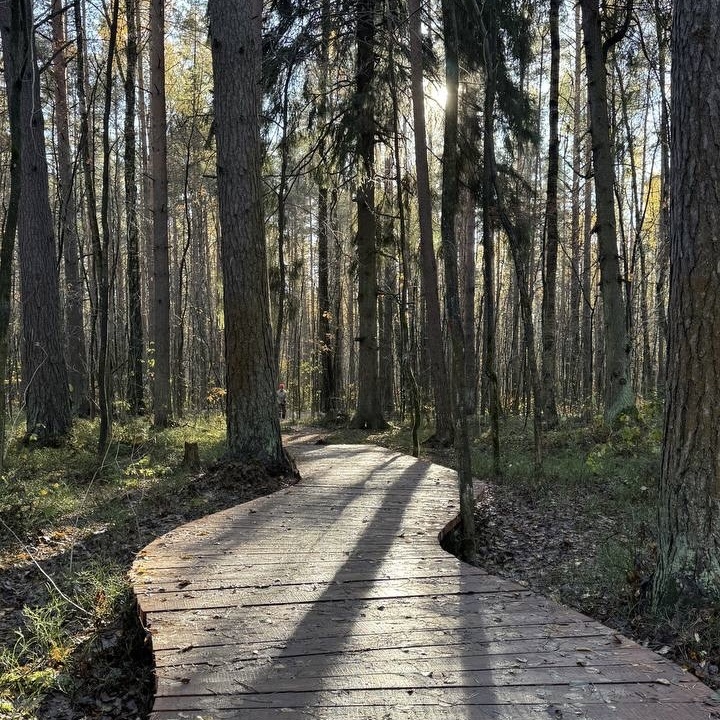 Небольшой участок с деревянным настилом