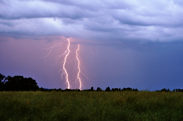    Фото: Shutterstock.com/ Albert Russ
