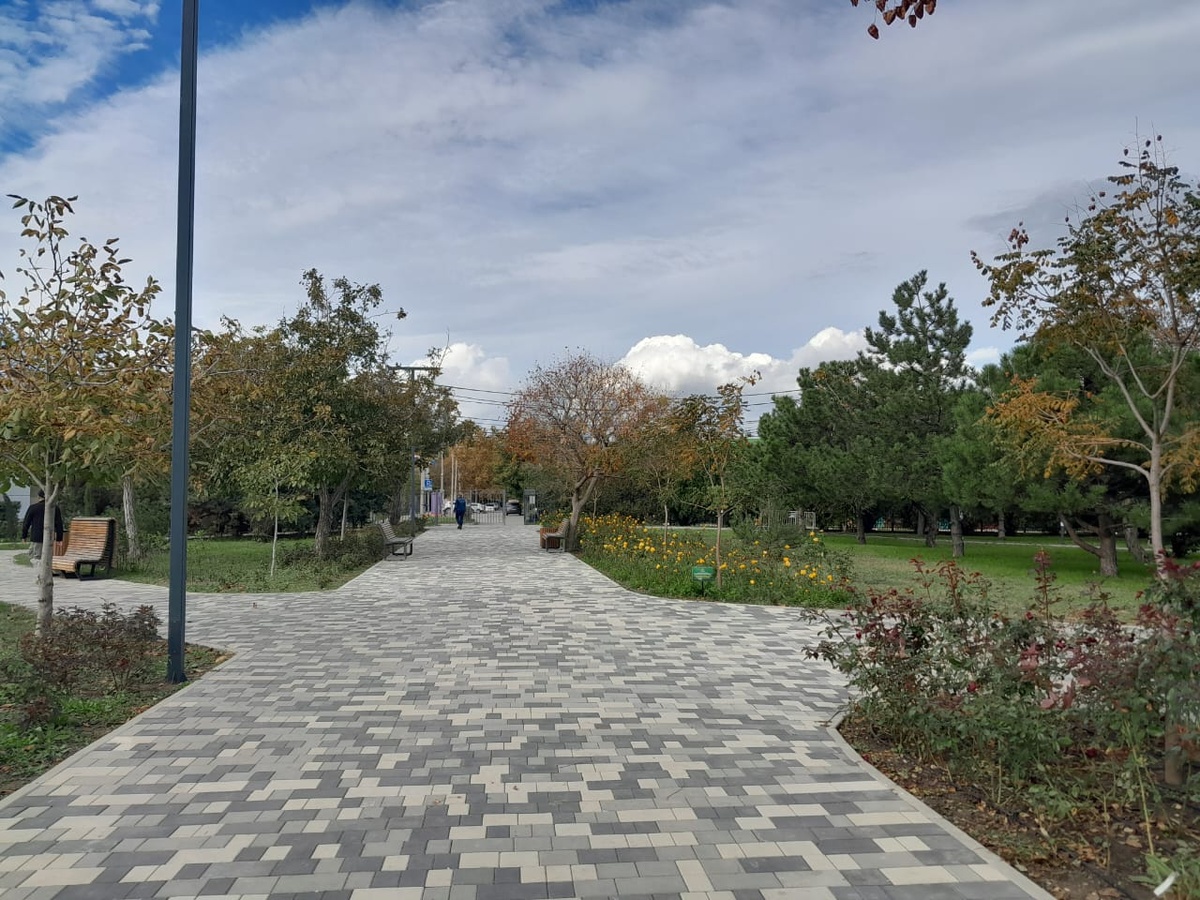 Розы высадили разных сортов и вдоль практически всех дорожек, зрелище очень красивое, особенно когда все распуститься, здорово!