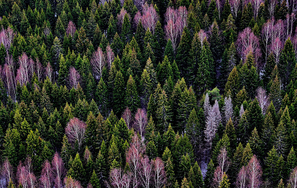 Владимир Смирнов/ТАСС