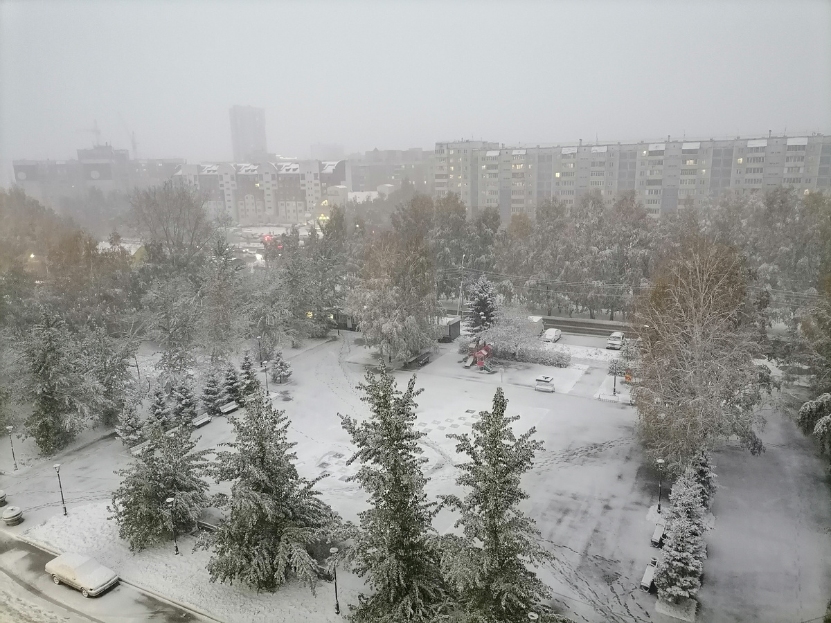 И это тоже. Вот такие разные виды. А здесь снега еще совсем нет