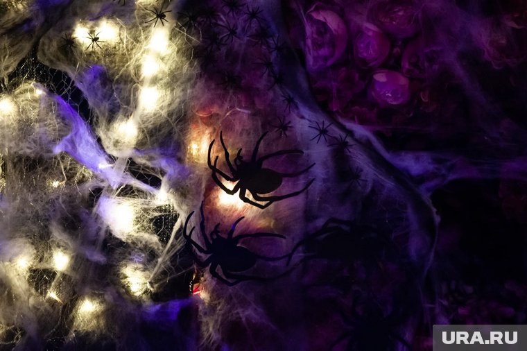     Как провести самую страшную ночь в Питере