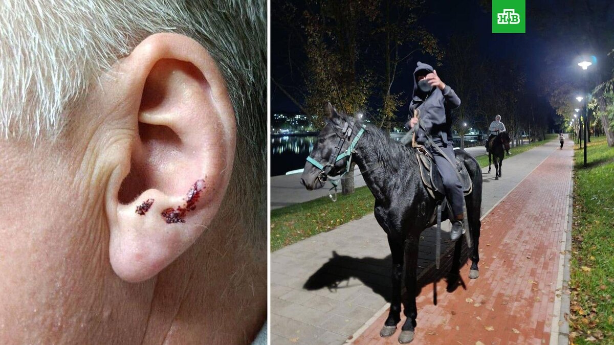    Фото: @moiseev_eugene / t.me