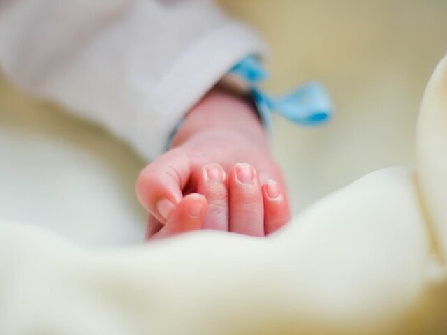    Фото: 123RF/yanne2403