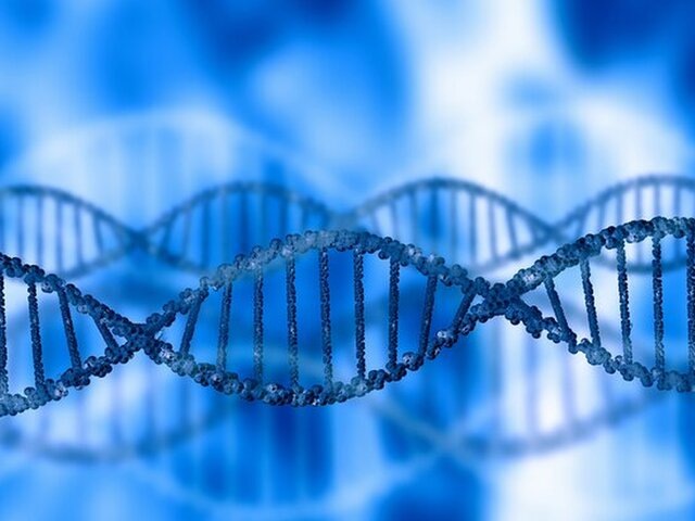    Фото: 123RF/nexusplexus