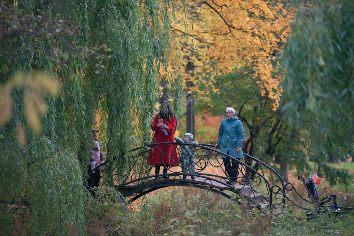 Фото: Александр Гальперин / «Петербургский дневник»
