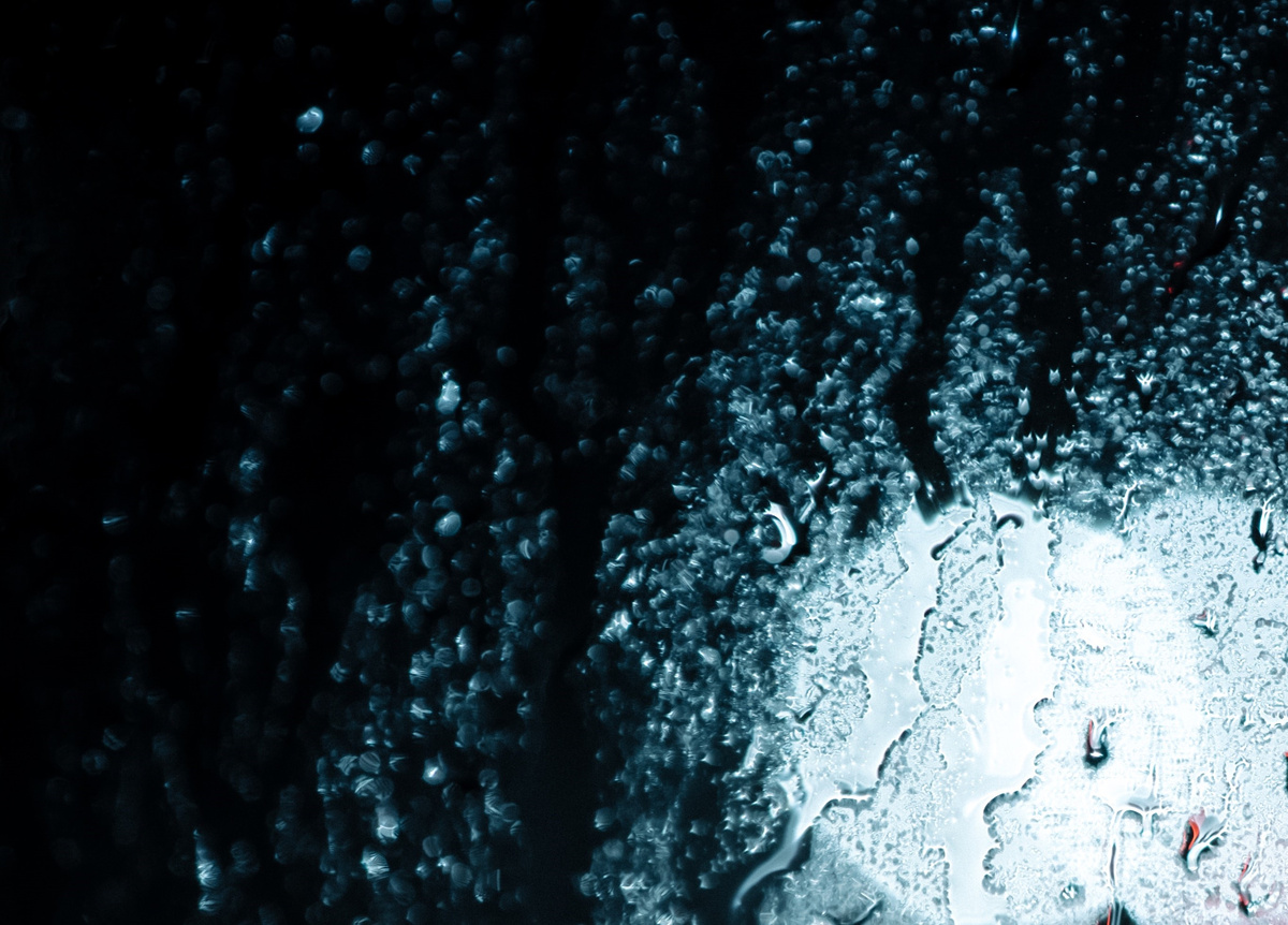 Фото: Tim Foster с сайта unsplash.com