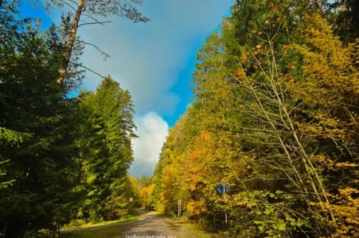    В Калининградской области завершен ремонт дорог к малым населенным пунктам