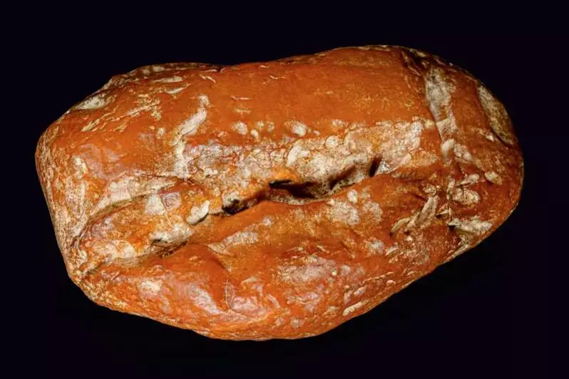 Фото Калининградского Янтарного Комбината. Самородок продан на аукционе в 2024 г.