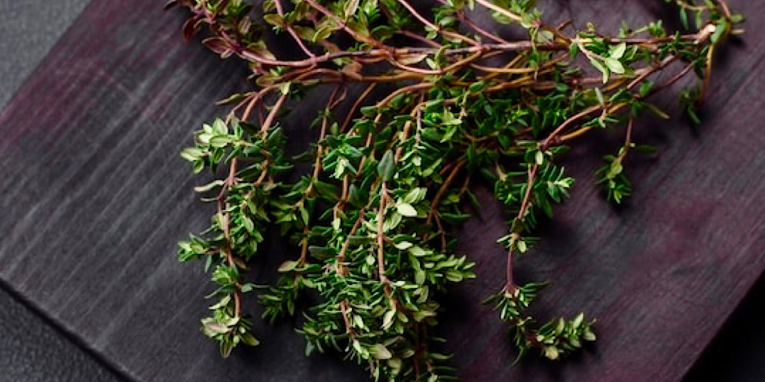 Тимьян: маленький листок с огромным характером. Путеводитель по королю прованских трав