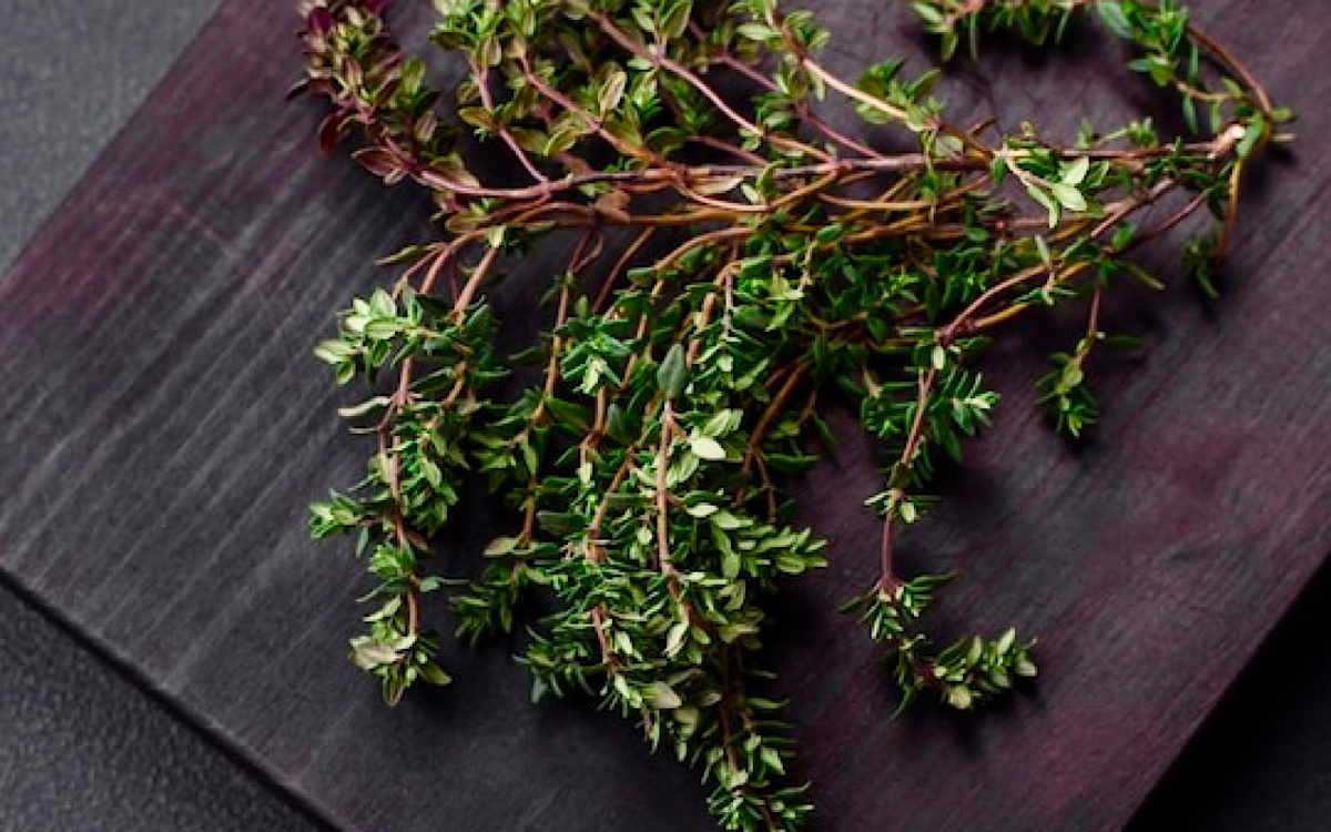 Фото с сайта ru.freepik.com