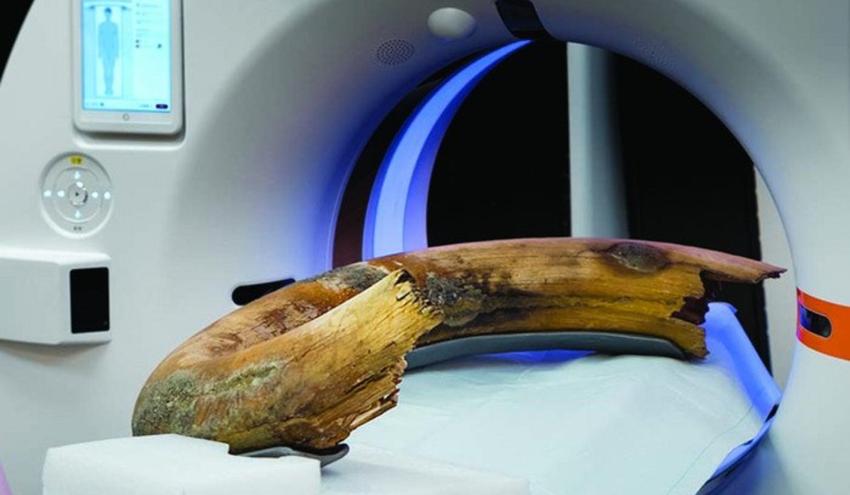 Фото: Научная Россия