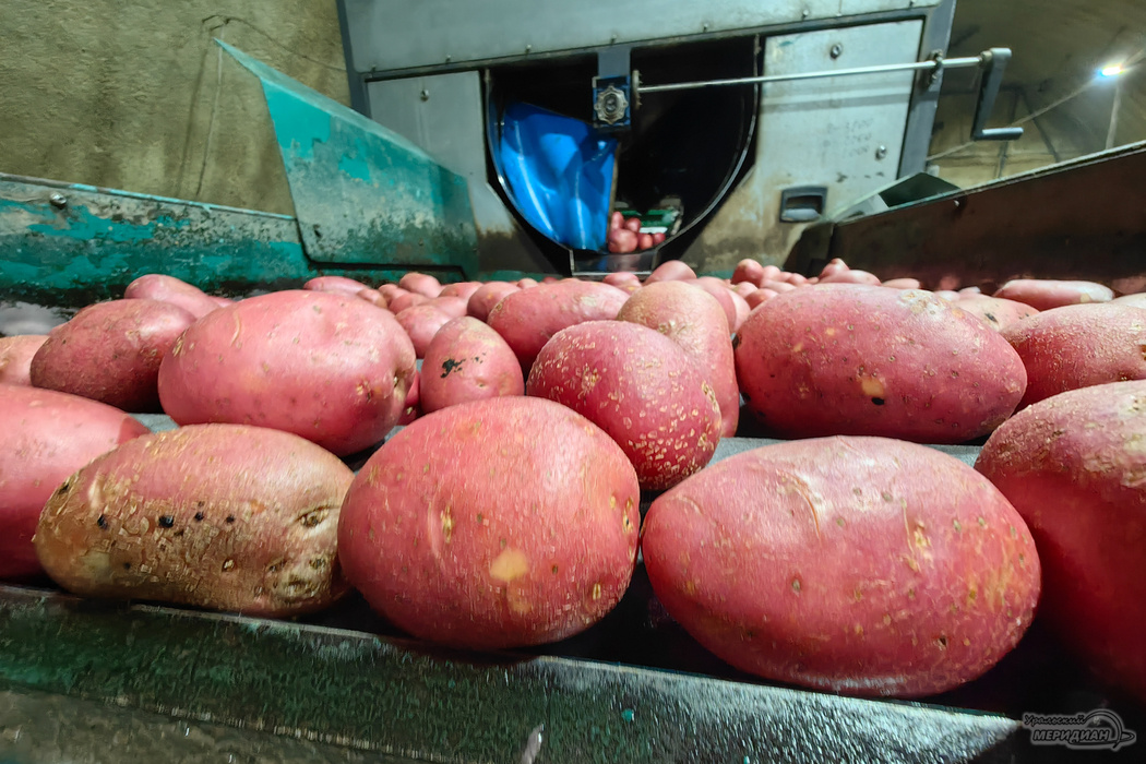    Фото: Лидия Аникина © ИА «Уральский меридиан»