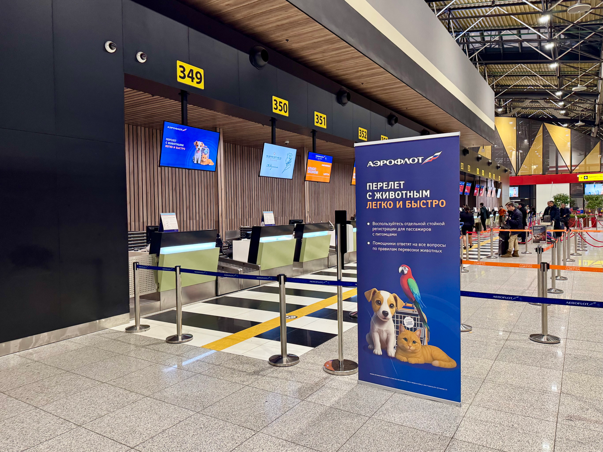 Стойка регистрации для пассажиров с животными в аэропорту Шереметьево