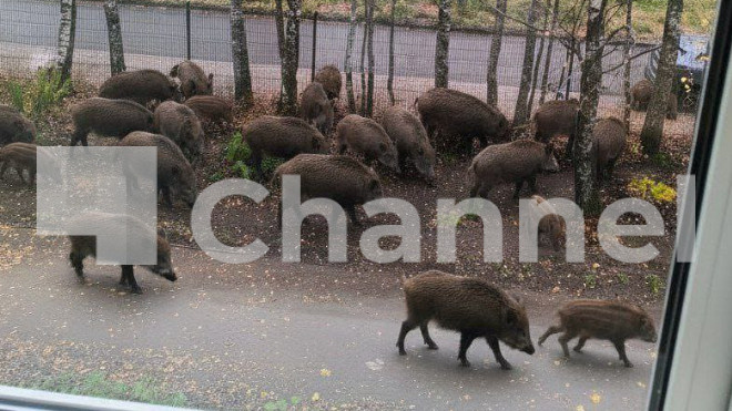 Фото: Вера Будкова