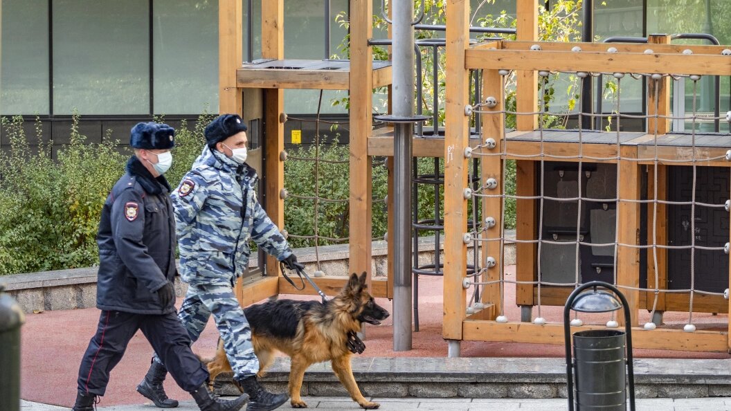    Фото: Константин Кокошкин/Globallookpress.