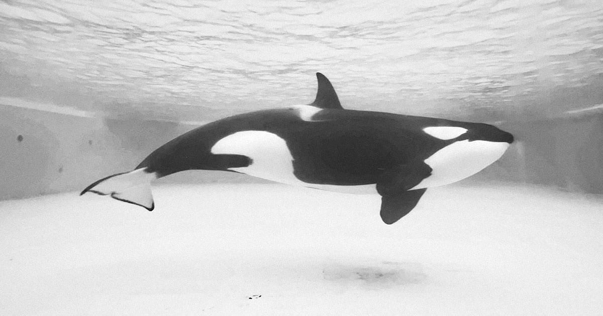 Iewek Gnos / Unsplash