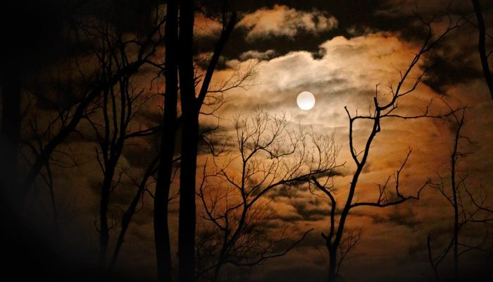24 октября наступает Филиппова канитель, когда лунный свет опасен (особенно для девушек). Фото: pxhere.com