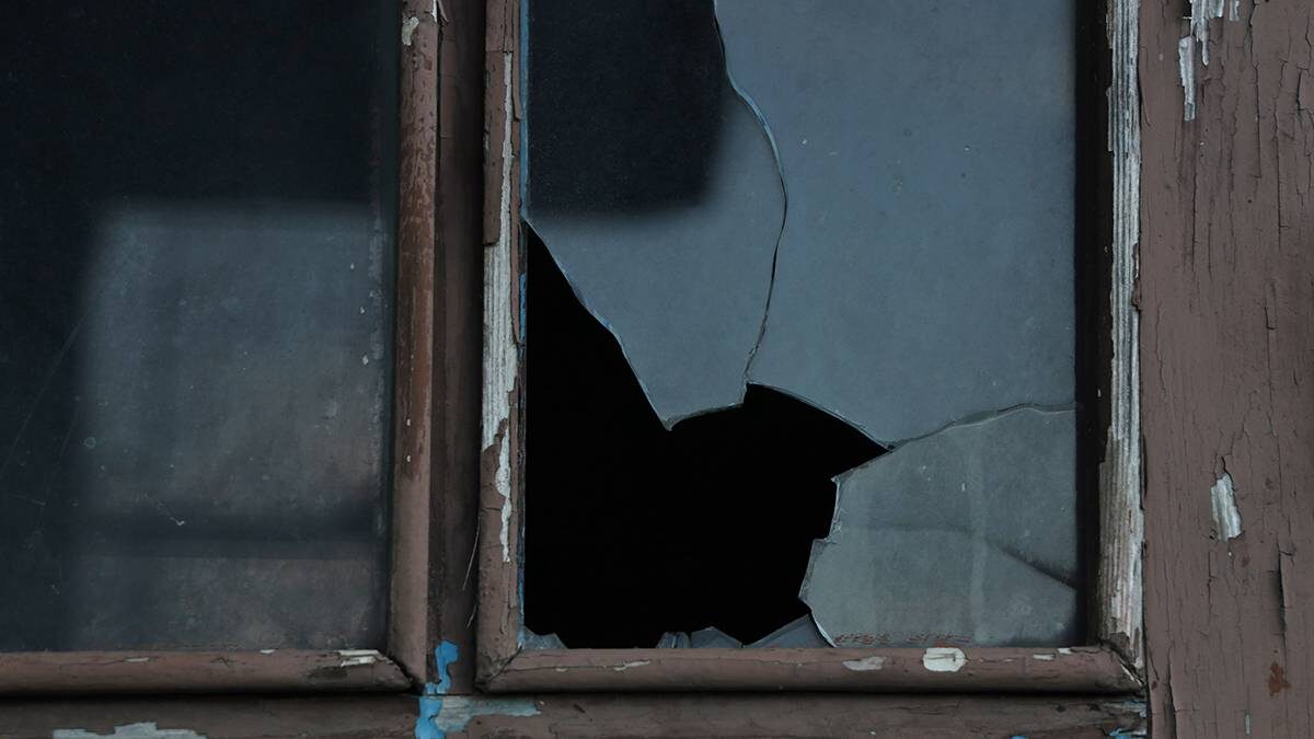    Фото: Shutterstock