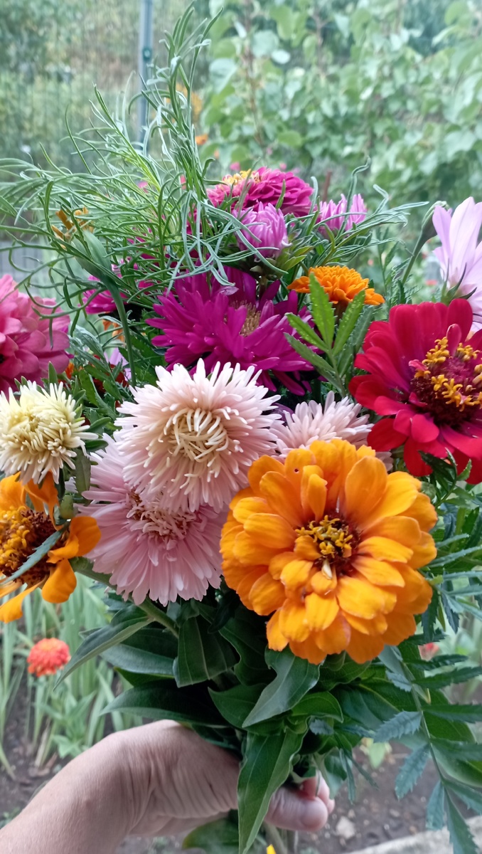 Цветы с нашей дачи