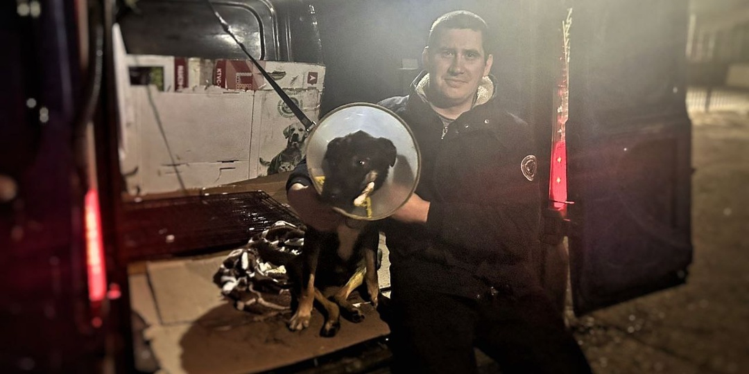 История спасения Ауруса, которая стала возможной благодаря ВАМ!