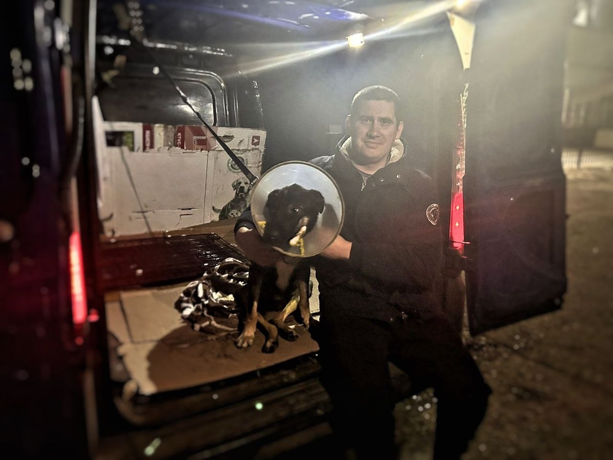 Инвалиду дома, конечно, лучше и легче, чем в приюте...