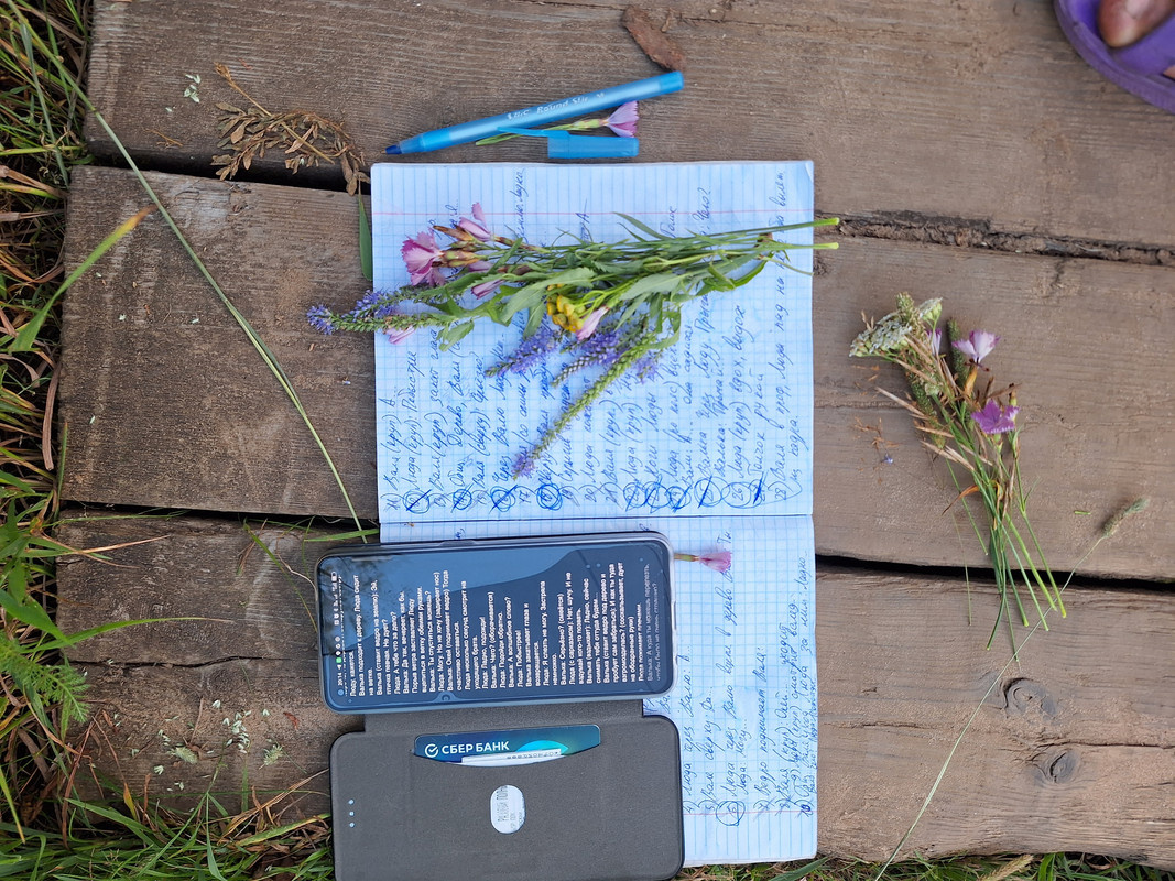 Стихийный натюрморт ("Брат пятерых", июль 2024)