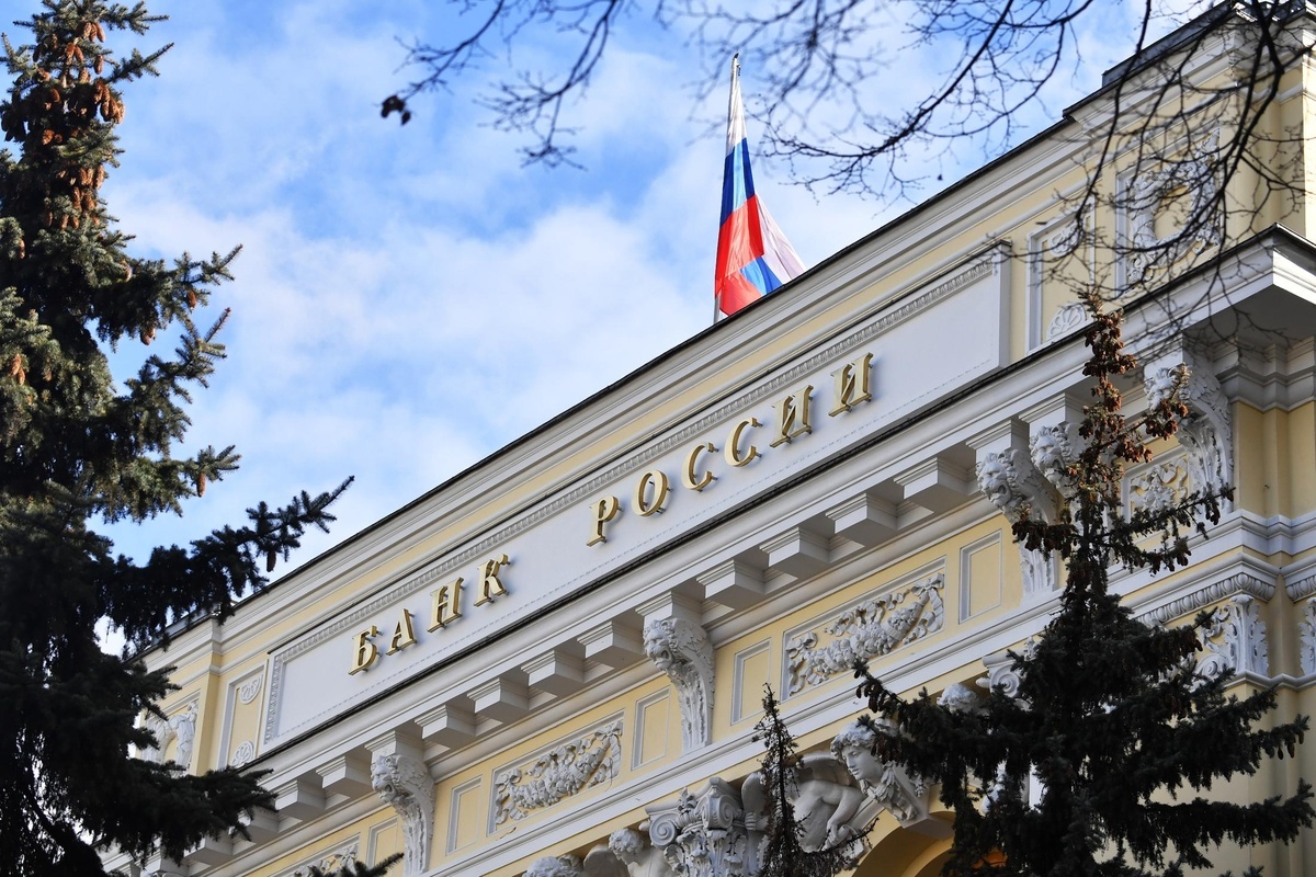    Фото: Михаил Воскресенский, источник: ria.ru