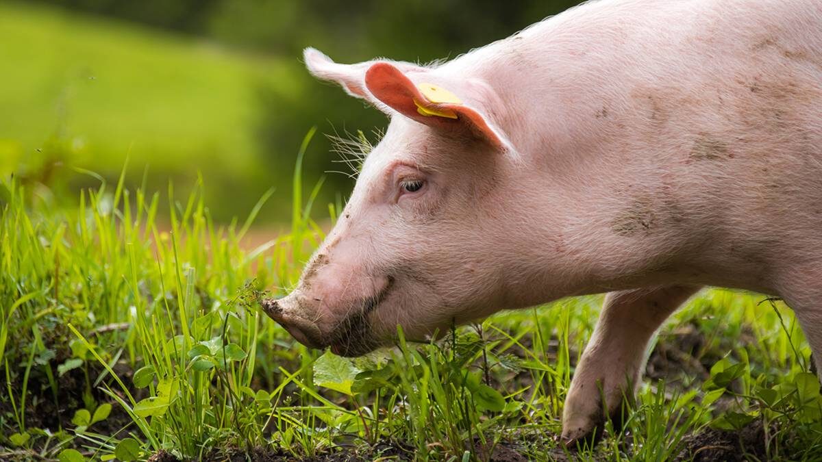    Фото: Shutterstock