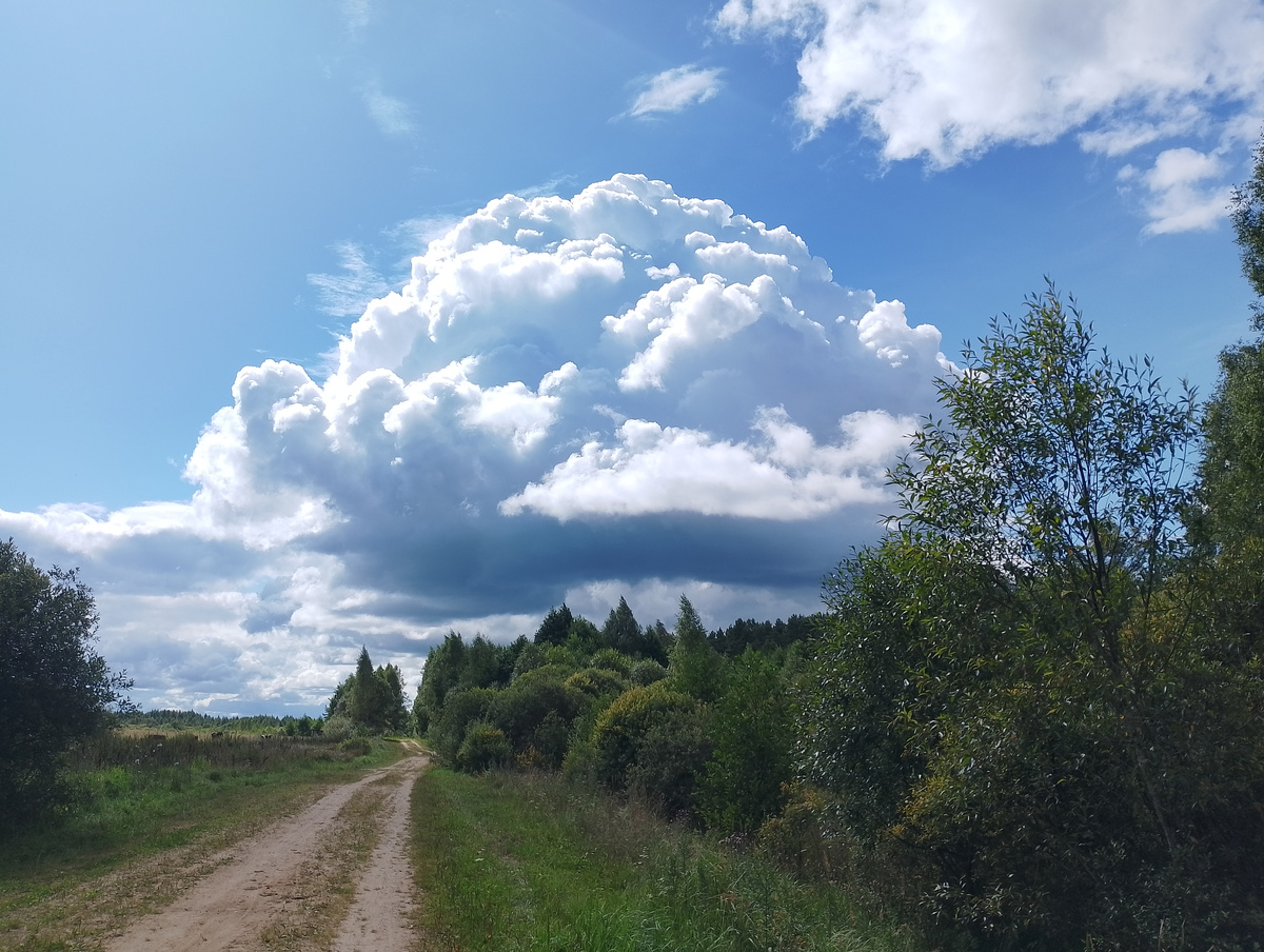 Одному мне нравятся дороги и облака?..