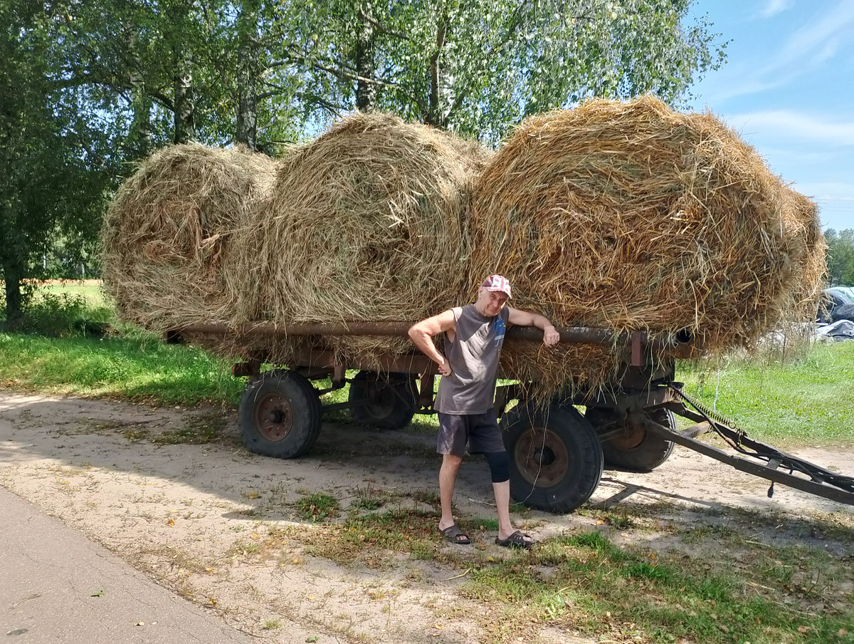 Я в деревне покупаю готовое молоко, поэтому сено не заготавливаю, использую принцип разделения труда и товарно-денежного обмена.