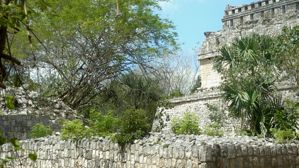 Дом Оленя в Чичен-Ице с окружающей растительностью.