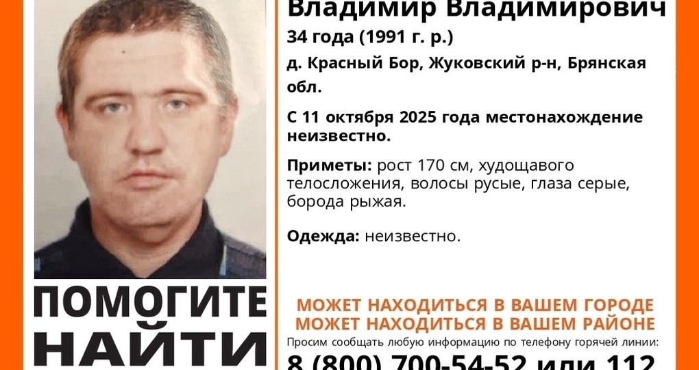 В Брянской области ведутся поиски пропавшего 34-летнего Владимира Стрельцова