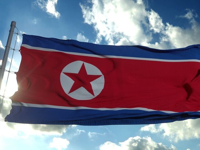    Фото: 123RF.com/DPRK flag