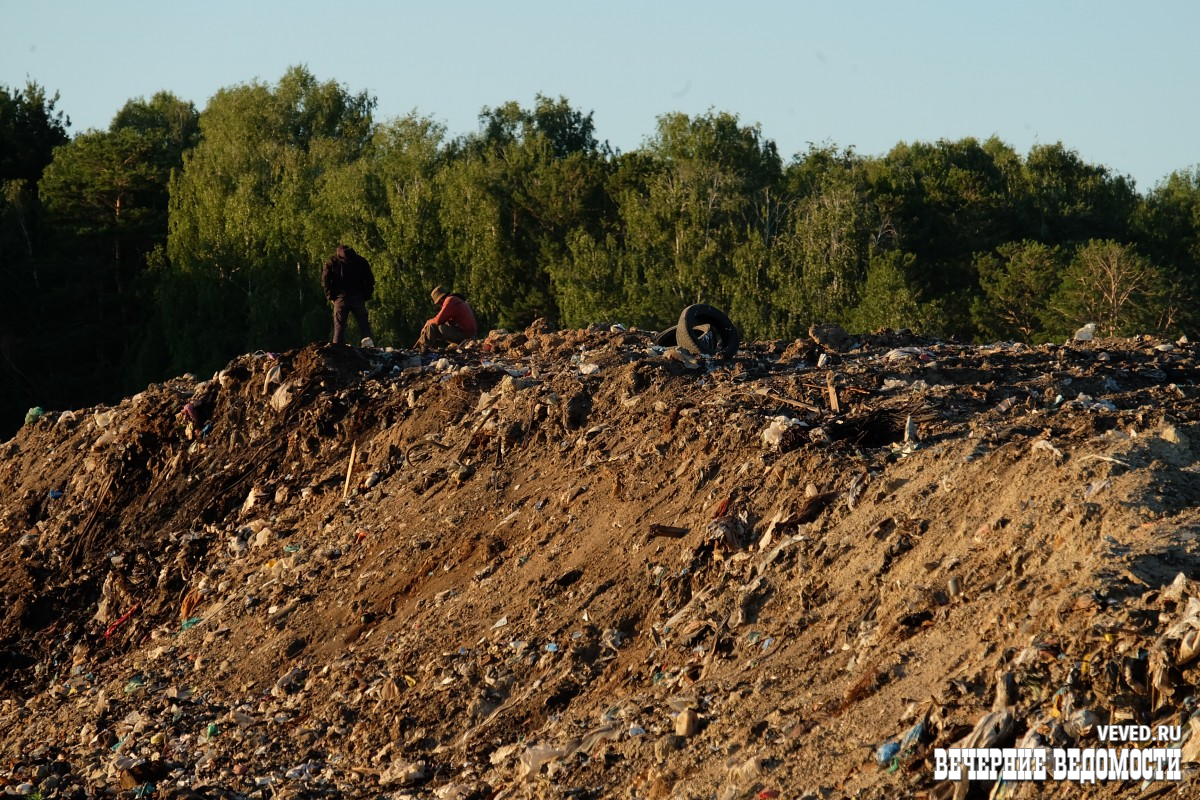     Фото: Владислав Постников / Вечерние ведомости