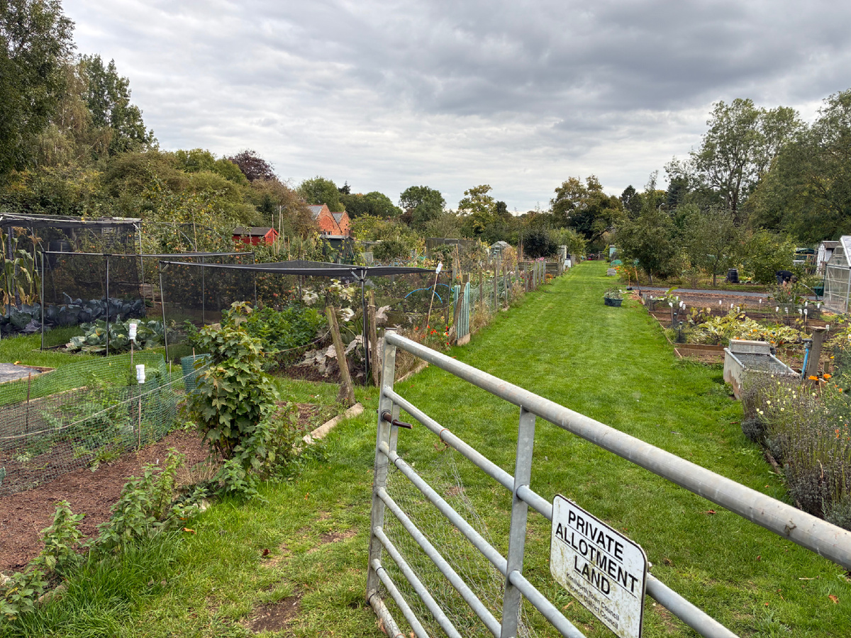 Вход на участок с аллотментами. Фото из личного архива