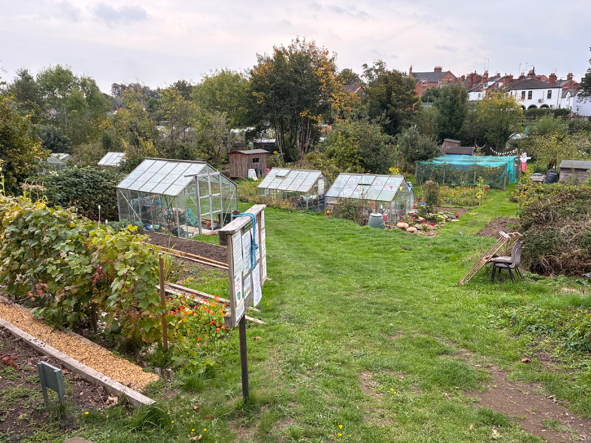 Вход на участок с аллотментами. Фото из личного архива