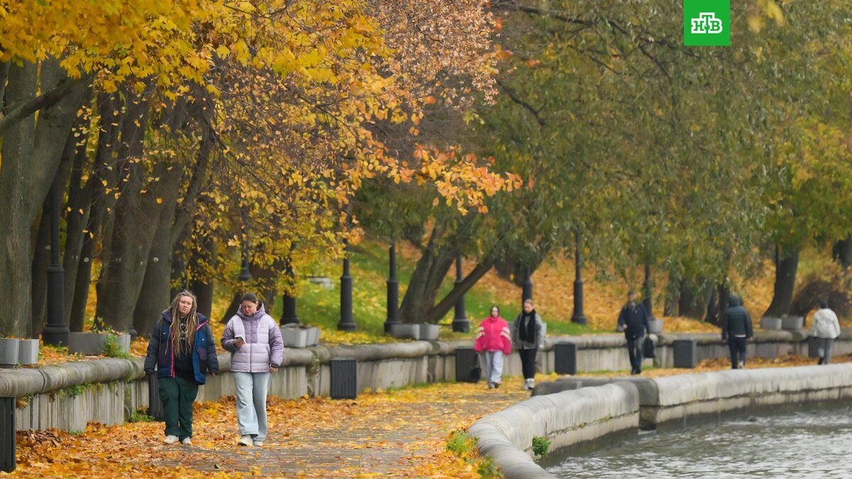    Фото: РИА Новости © 2025, Пелагия Тихонова