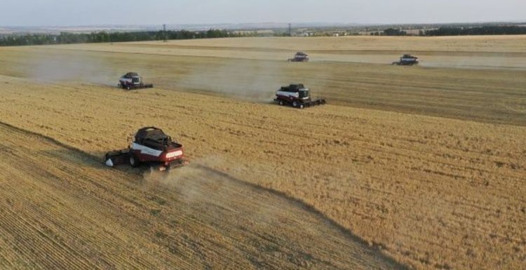    Фото: Россельхозцентр по Республике Башкортостан