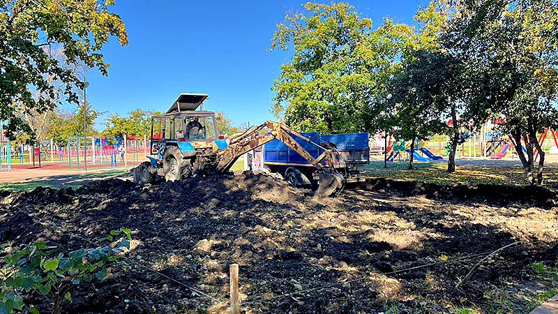    Сотрудничество власти и молодежи преображает городскую среду