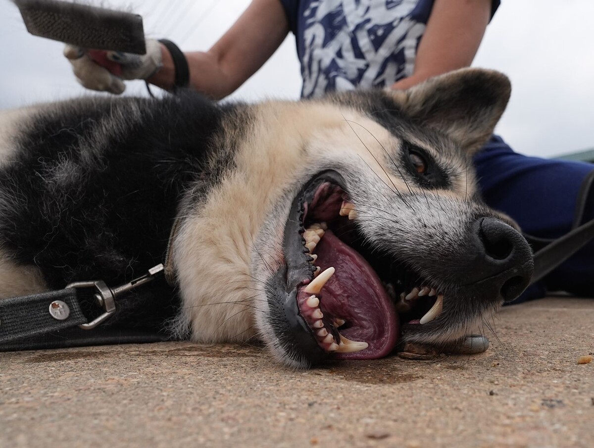     / Источник: © ИЗВЕСТИЯ/Павел Волков