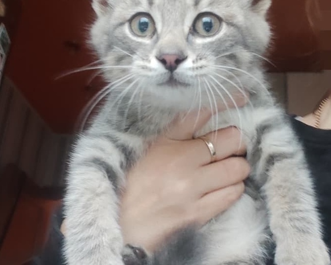 Его доверие предали, но он не обиделся на весь мир