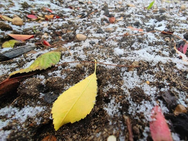 © Фото: nts-tv.ru