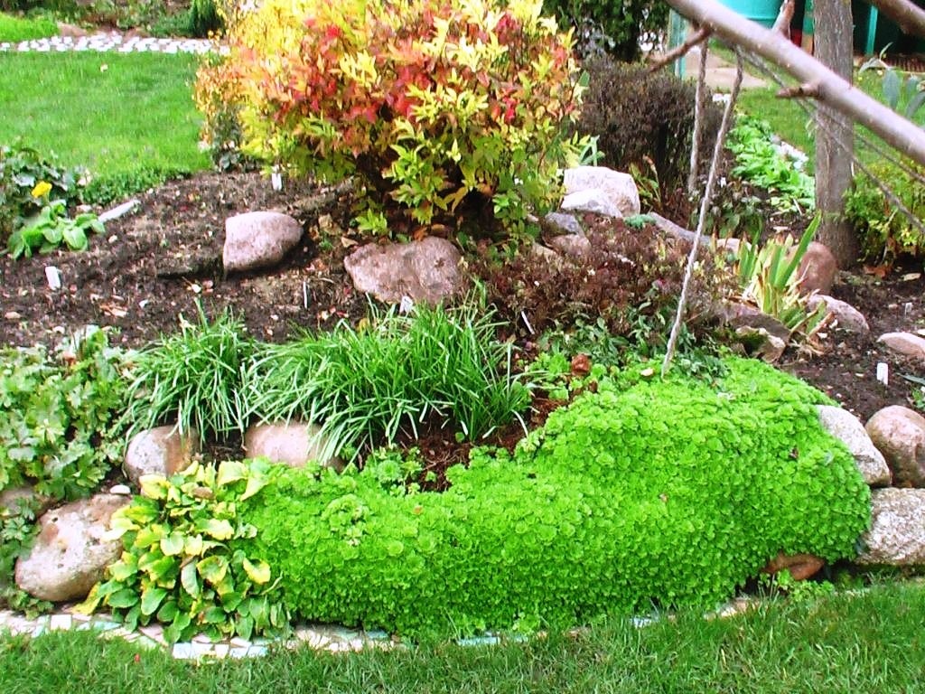 Все фотов этой статье я сделала в этот день, но 14 лет назад — 23 октября 2011 года