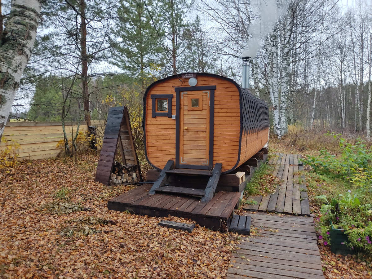 Традиционное для моих статей фото с дачи.