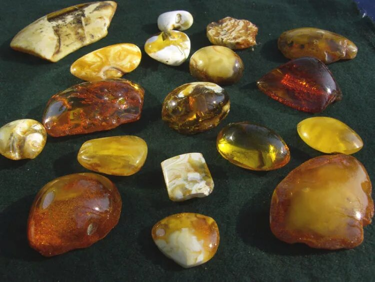 Натуральные цвета янтаря. Обратите внимание, что "зеленый" янтарь отсутствует. Чаще всего яркие насыщенные цвета (зеленый, синия, вишневый) - результат обработки камня.